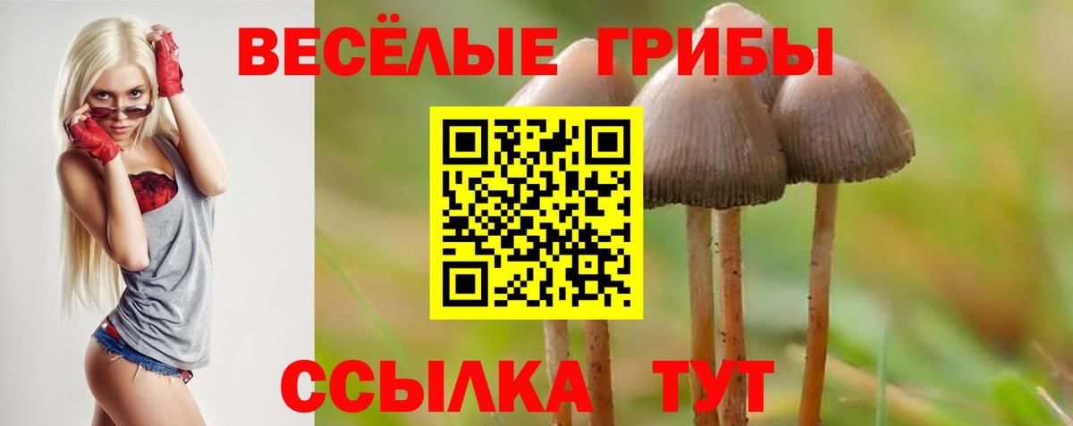 Галлюциногенные грибы мухоморы  купить наркотик  Шахты  Галлюциногенные грибы GOLDEN TEACHER  Вход с VPN 